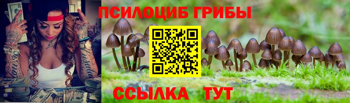Галлюциногенные грибы Psilocybine cubensis  Псилоцибиновые грибы Psilocybine cubensis  Вход с VPN  Елабуга 